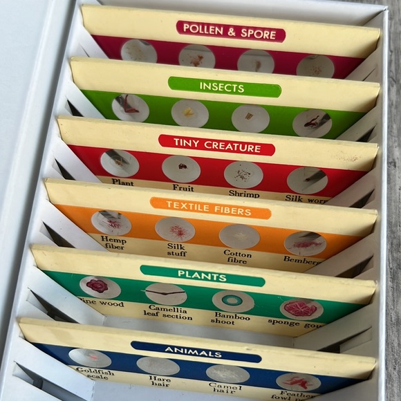 Prepared slide specimens, set 1 and set 2 Learning Resources Science - Picture 3 of 8